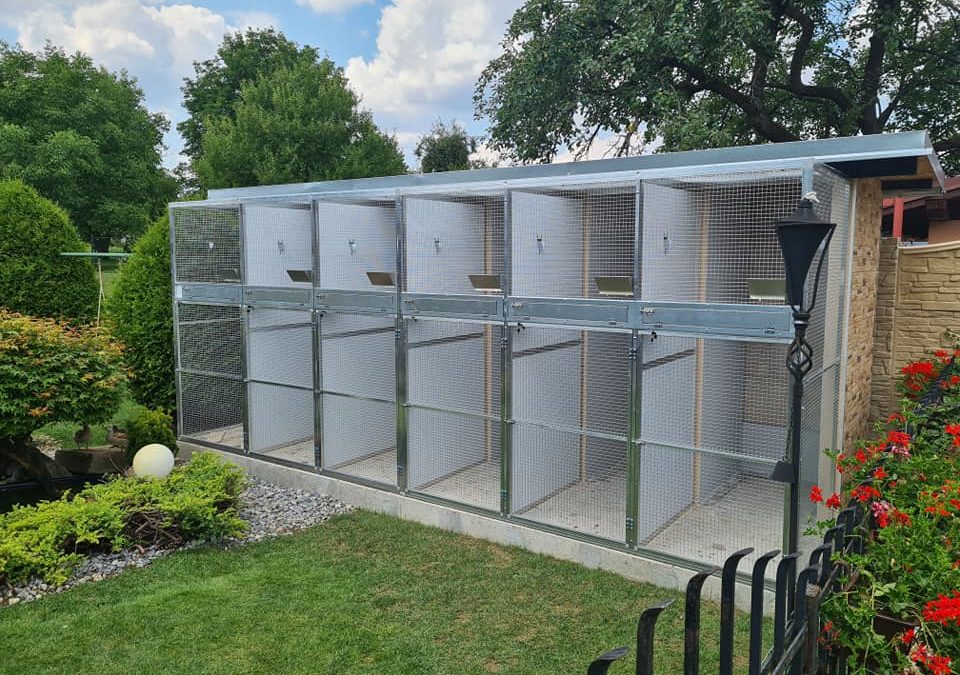 Chovný box pre amazóniky