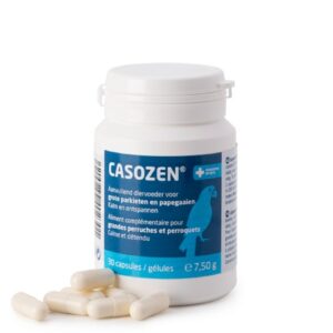 CASOZEN