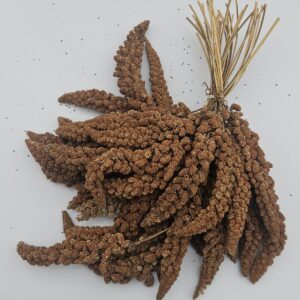 Senegalské proso v klasoch červené 500g